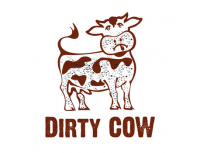 virus informatique dirty cow - ins'hack 2017